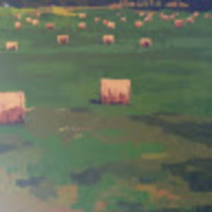 Meet your Posher, Annie